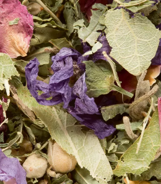Tisane des merveilles