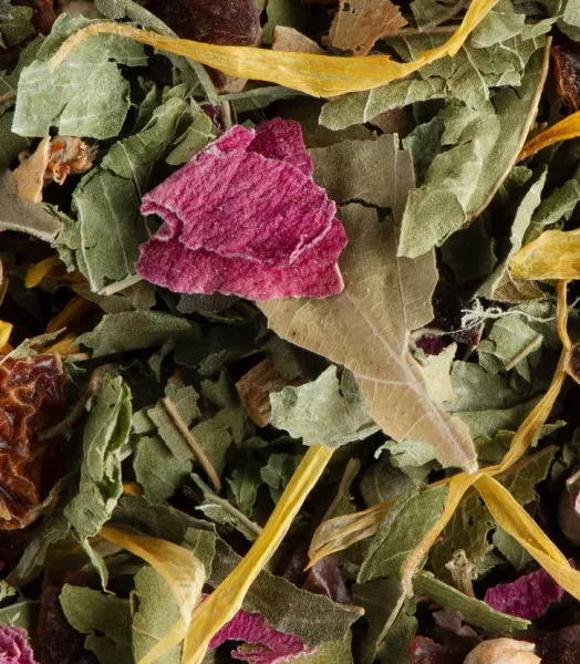 Tisane nuit à Versailles