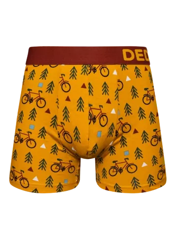 Boxer on the road