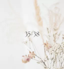 35-38