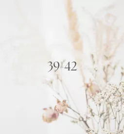 39-42